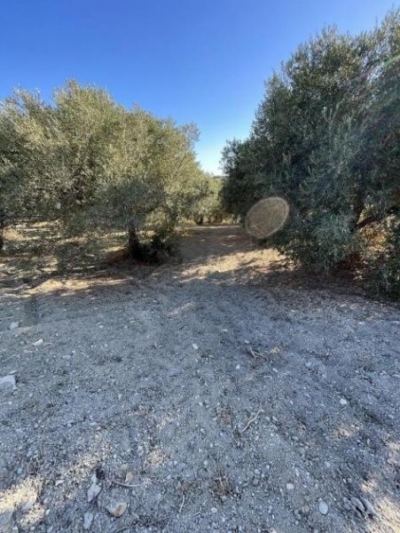 Episkopi bei Chania Kreta, Episkopi: Grundstück mit Meerblick, nahe dem Strand zu verkaufen Grundstück kaufen